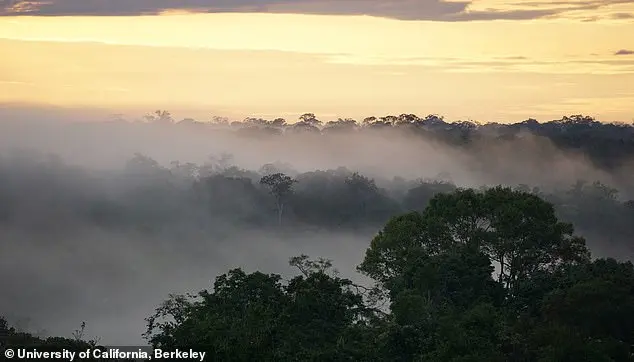 Amazon Rainforest at Risk of Entering Hypertropical State Due to Climate Change, Scientists Warn of Cascading Climate Impacts