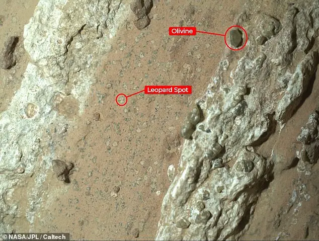 Dame Maggie Aderin-Pocock Predicts Confirmation of Extraterrestrial Life Within 50 Years