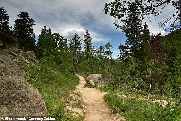 Hikers Describe 'Harrowing' Moment as Colorado Woman Found Mauled by Mountain Lion