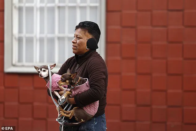 Magnitude 6.5 Earthquake Shakes Mexico, Disrupts Politics and Tests Infrastructure Resilience