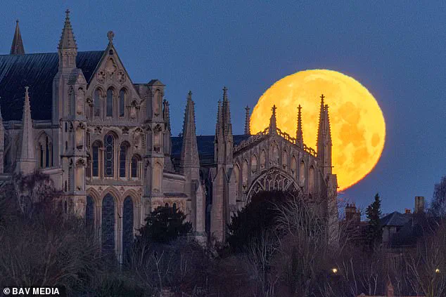 Dazzling 'Wolf Supermoon' Set to Light Up Skies as Experts Call It the Most Luminous of 2023