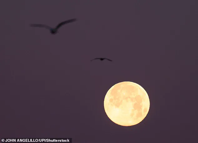 Super Moon Trifecta Sparks Flooding Crisis in San Francisco as Coastal Infrastructure Struggles