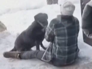 Minneapolis Mayor Jacob Frey's Outburst Over Shooting Sparks Debate on Federal Agents and Community Safety