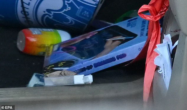 Tragic Shooting of Poet Renee Nicole Good Reignites Debate on Accountability and Justice