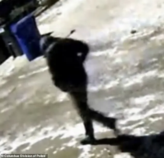 Neighbor's Chilling 911 Call: 'Some...': Unresolved Double Murder in Columbus Shocks Community