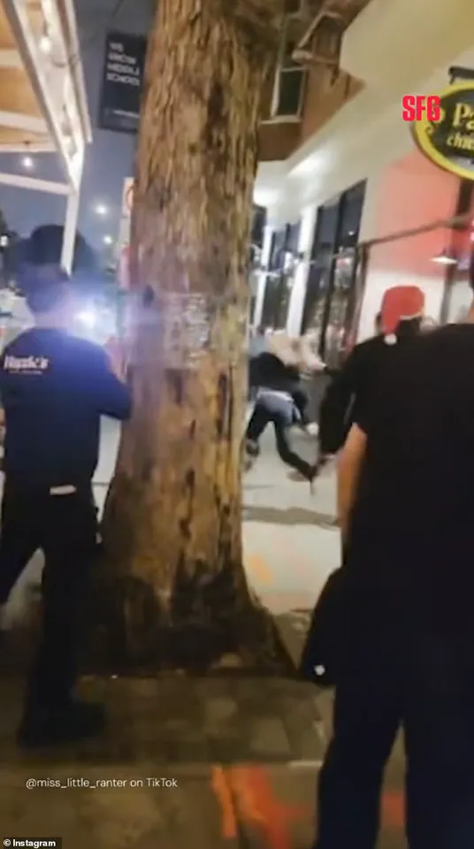 Viral Video of San Francisco Bartender's Altercation with Drunk Customer Sparks National Debate Over Workplace Conduct and Self-Defense