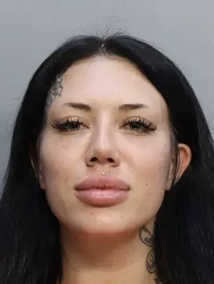 Enforcement of Air Travel Regulations Demonstrated in Miami Airport Incident