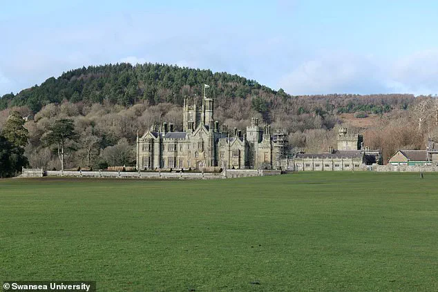 Experts Stunned by Discovery of Largest Roman Villa in Wales, Nicknamed 'Port Talbot’s Pompeii'