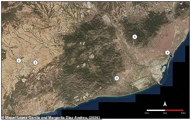 Neolithic Shell Trumpets Survive Millennia, Outlasting Modern Electronics