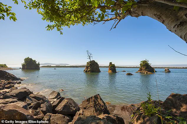 After Two Decades, Skeletal Remains Identified as Clarence Edwin 'Ed' Asher Bring Closure to Family and Highlight Forensic Science's Power