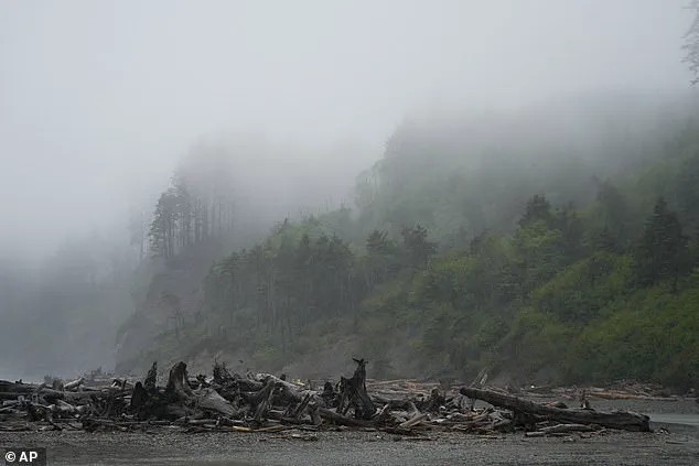 After Two Decades, Skeletal Remains Identified as Clarence Edwin 'Ed' Asher Bring Closure to Family and Highlight Forensic Science's Power