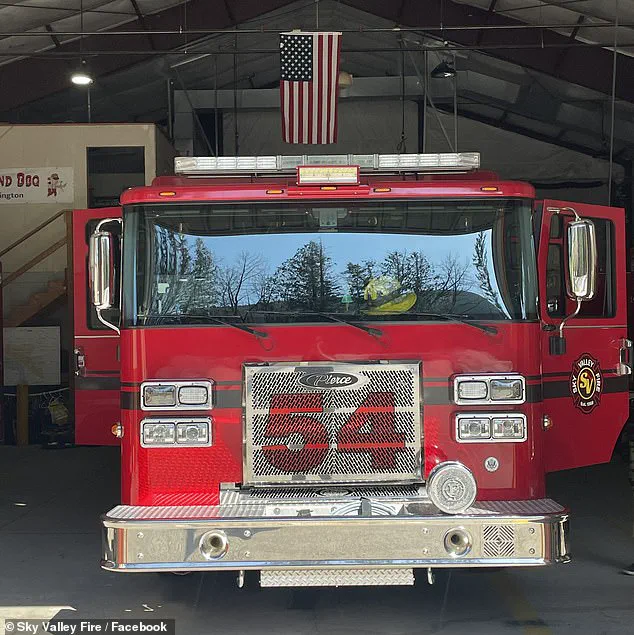 Exclusive Insight: Firefighters Save Puppies from Opioid Overdose in Unusual Rescue