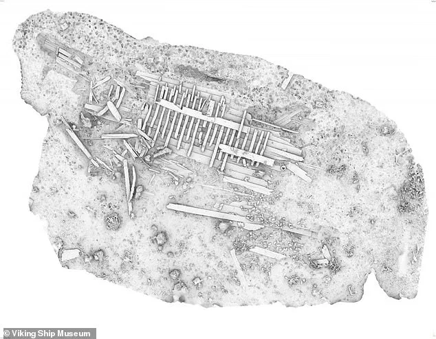 Largest Medieval Cog Ship Ever Found Uncovered Off Denmark's Coast