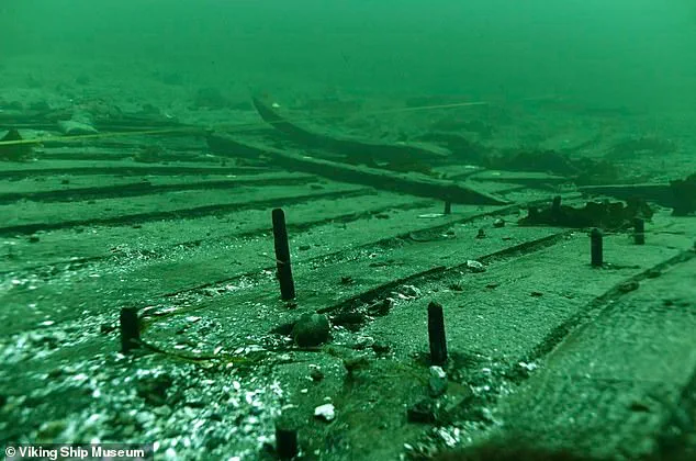 Largest Medieval Cog Ship Ever Found Uncovered Off Denmark's Coast
