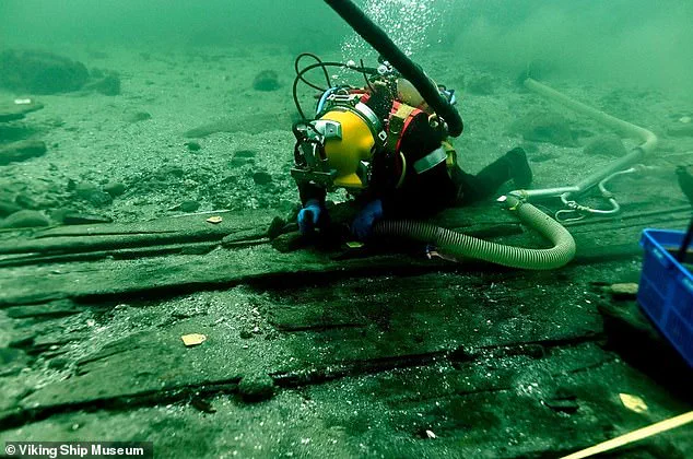 Largest Medieval Cog Ship Ever Found Uncovered Off Denmark's Coast