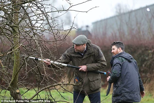 Late-Breaking: Prince William's Hands-On Farm Visit at Bridge End Farm Highlights Rural Commitment