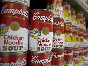 Late-Breaking: United Airlines Faces Outrage Over Viral First-Class Meal Controversy as Google Scientist Claims '3D-Printed Meat' Served on Flight