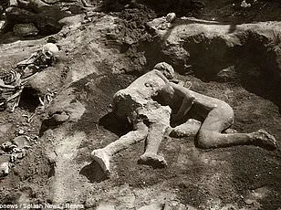 Exclusive Insights: New Study Reveals T. rex's Extended Lifespan and Gradual Growth