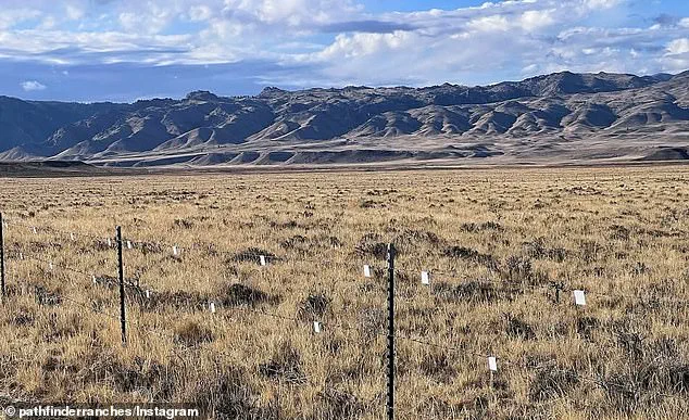 Chris Robinson Revealed as New Owner of $80M Wyoming Ranch, Ending Speculation Over Foreign Buyers