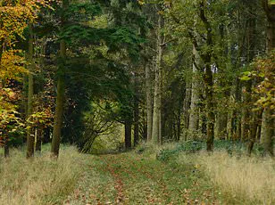 Stark Environmental and Social Divide in Northern England: Disadvantaged Communities Face 33% Higher NO2 Exposure