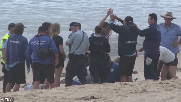 Sydney's Northern Beaches Under Urgent Lockdown After Three Shark Attacks, Including Two Involving Children, as Surfer Left in Critical Condition