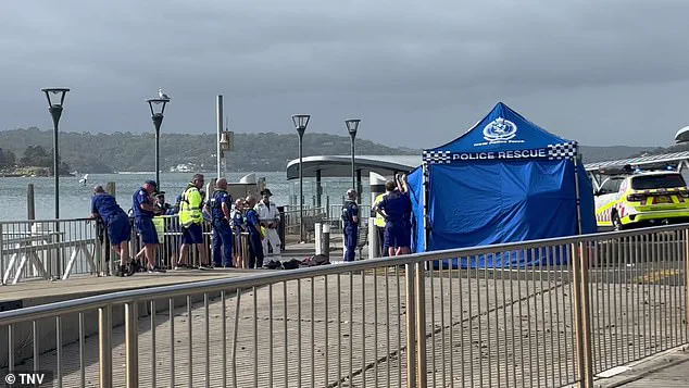 Sydney's Northern Beaches Under Urgent Lockdown After Three Shark Attacks, Including Two Involving Children, as Surfer Left in Critical Condition