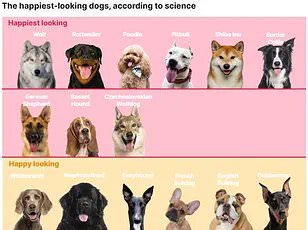 Alarming New Survey Reveals 54% of British Dogs Are Overweight or Obese, Sparking Veterinary Crisis