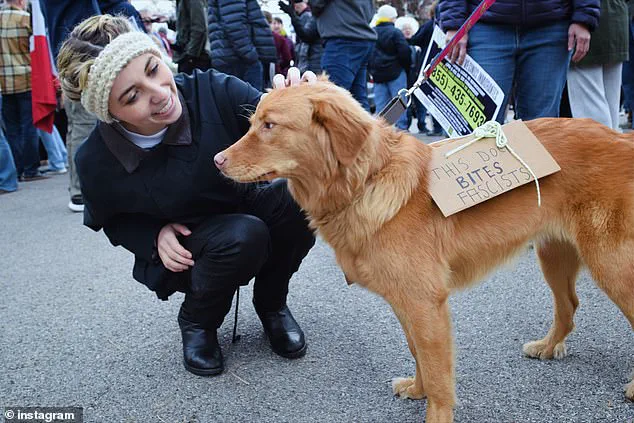 Exclusive Access: How Media Scrutiny of a Candidate's Health Struggles Sparks Controversy