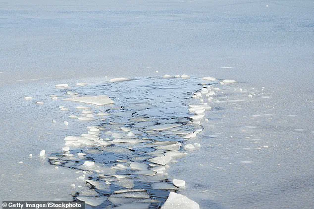 Tragic UTV Crash Claims Lives of Five-Year-Old Girl and Grandfather in Westphalia Township, Michigan