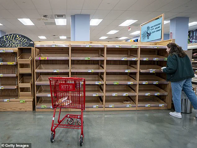 Meteorologist Highlights Decadal Snowstorm Pattern in NYC, Sparking Debate Among Experts