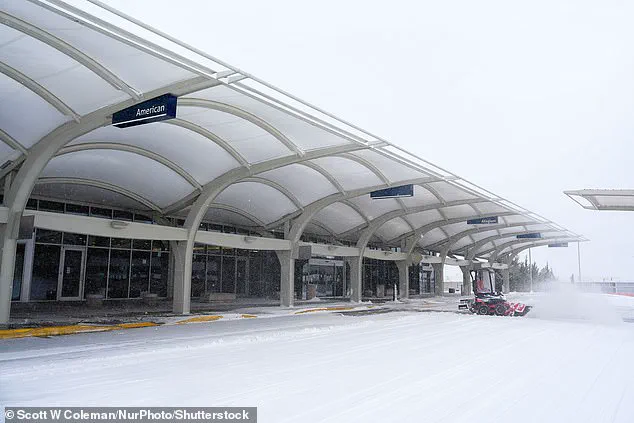 Government's Response to Winter Storm Fern: Balancing Emergency Measures with Public Safety Concerns