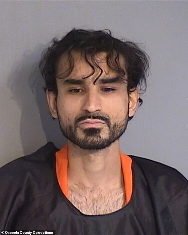 Criminal Justice System's Mental Health Access Failures: Public Safety Risks and Expert Advisories