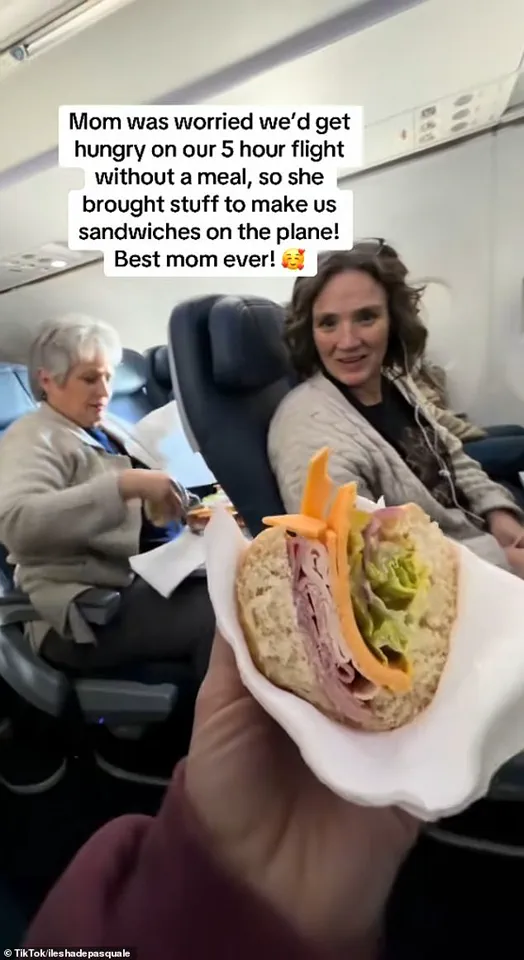 Privileged Access to the Viral Flight Sandwich Incident