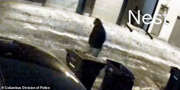 Surgeon Charged with Double Murder Faces New Stalking Allegations, Documents Reveal