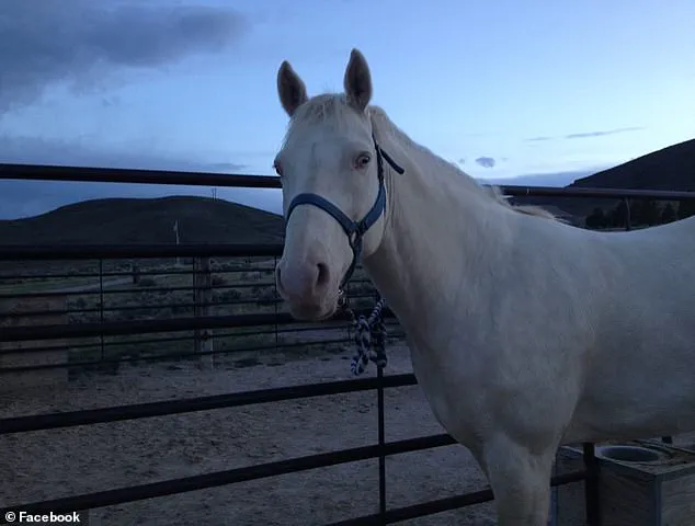 Privileged Access: Exclusive Details on Gang Member's Macabre Horse Sacrifice and Murders in Maple Valley