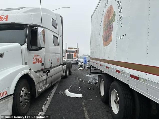 Exclusive Details: The Catastrophic Highway 99 Pileup in California