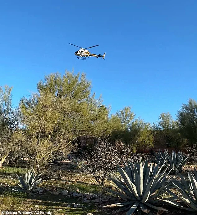 Abduction of NBC Anchor's Mother Sparks Speculation of Multiple Perpetrators