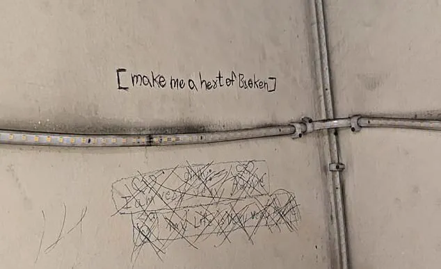 Three Teen Sisters Jump to Death in Ghaziabad After Parents Confiscate Phones