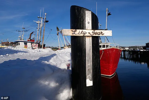 Tragic Sinking of Fishing Boat *Lily Jean* Claims Seven Lives, Leaving Community in Grief
