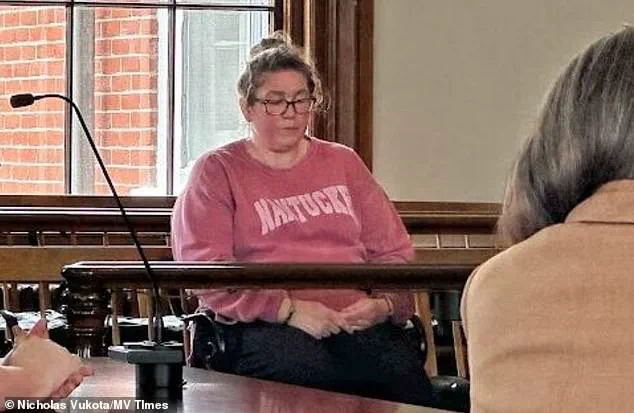 Parents of Deceased Two-Year-Old Boy File Civil Lawsuit Against Babysitter, Who Faces Manslaughter Charge Over Tragic Incident Involving Lies to First Responders