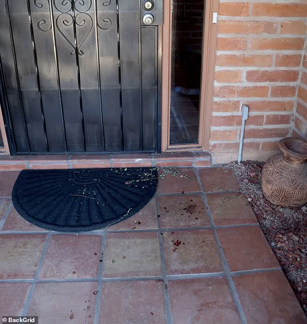 Nancy Guthrie's Vanishing: FBI Agent Points to 'Revenge' Plot and Bitcoin Ransom as Clues in Unusual Kidnapping Case