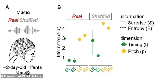 Newborns' Innate Rhythm Perception: A Scientific Discovery Challenges Assumptions About Human Development