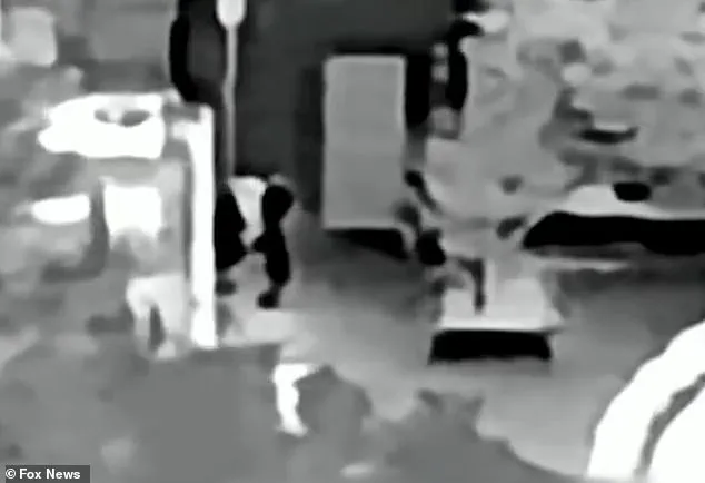 Third Search of Nancy Guthrie's Home Reveals Bloodstains, Missing Mother's Fate Remains Unresolved