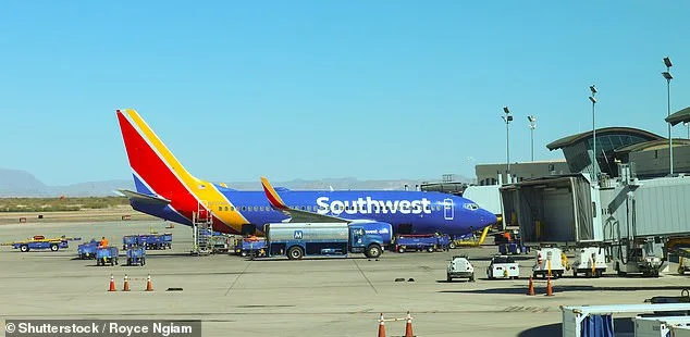 Drone Incursion Triggers Airspace Shutdown, Exposing Security-Economy Tensions