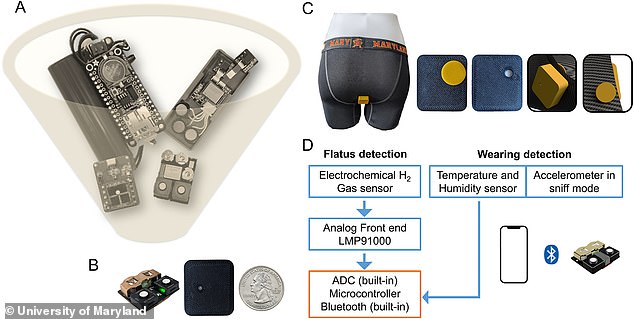Smart Underwear Study Reveals Average Person Farts 32 Times Daily, Doubling Previous Estimates