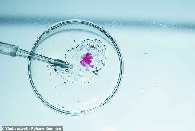 Donor Dan: Redefining Sperm Donation or Fueling Exploitation?