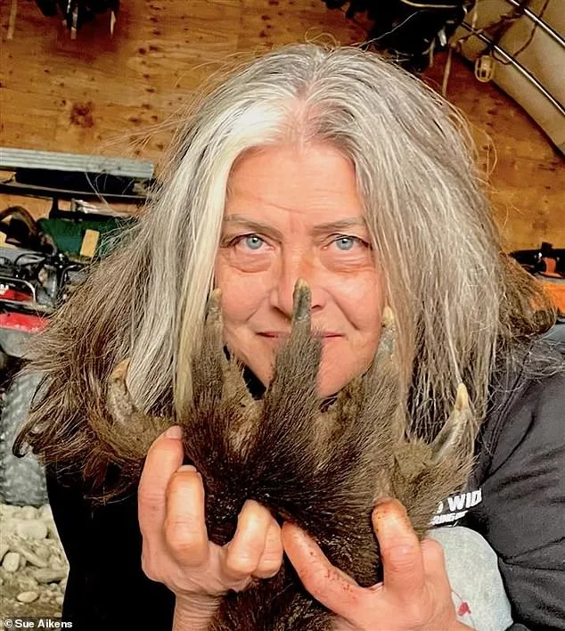From Grizzly's Jaws to a Stuffed Bear: Susan Aikens' Unyielding Resilience in Alaska