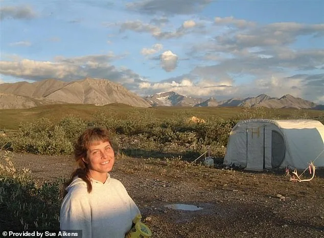 From Grizzly's Jaws to a Stuffed Bear: Susan Aikens' Unyielding Resilience in Alaska