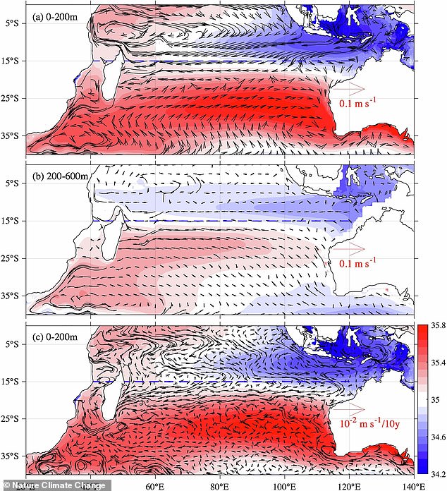 Southern Indian Ocean's Salt Content Plummets, Threatening Global Currents