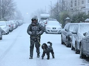 Southern Indian Ocean's Salt Content Plummets, Threatening Global Currents